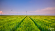 Emmapolder @ Eemshaven|16 mm|0,8 sec. bij f / 16|ISO 50|Rick Goede