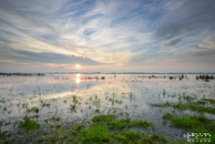 Roegwold @ Schilwolde|16 mm|1/5 sec. bij f / 16|ISO 50|Rick Goede