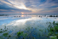Roegwold @ Schilwolde|16 mm|1,0 sec. bij f / 16|ISO 50|Rick Goede